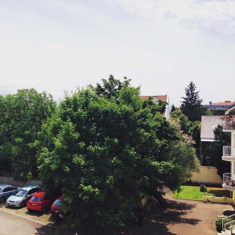 Tuenderpart Apartment Еґер Номер фото
